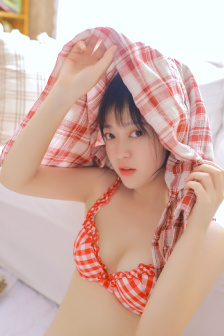 喜羊羊与灰